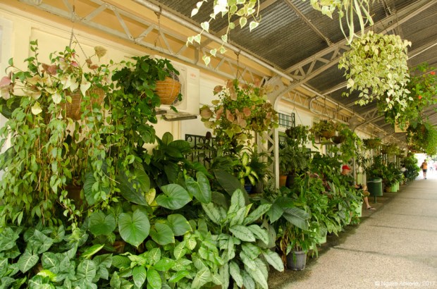 Kuranda Railway Station