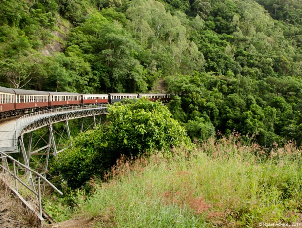 Kuranda Scenic Rail - train from Cairns to Kuranda