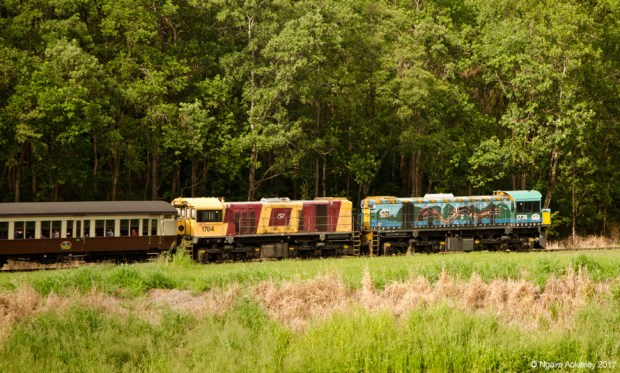 Kuranda Scenic Rail Train