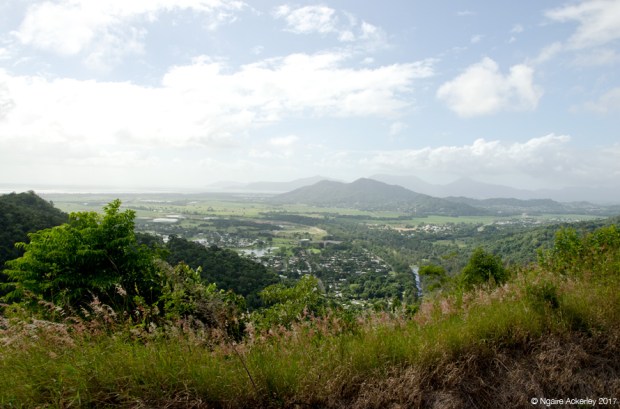View from the Kuranda Train