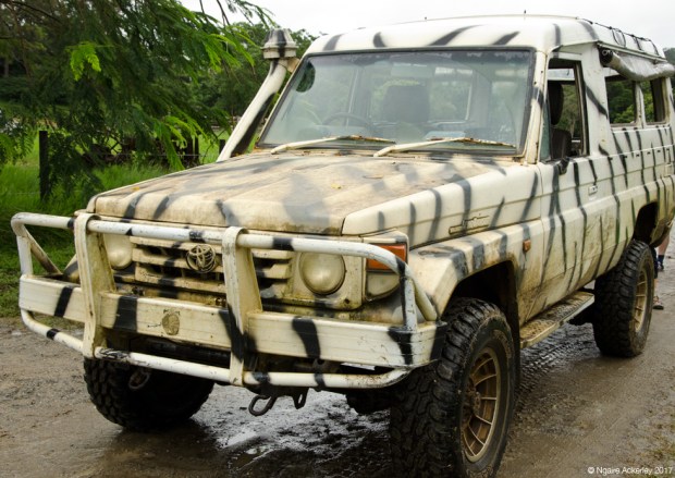 4WD to bounce around in the rainforest to Cassowary Falls