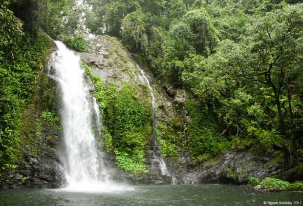 Cassowary Falls, Daintree Rainforest