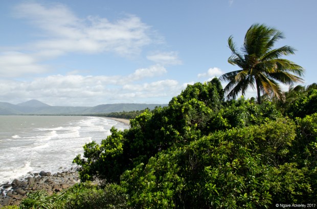 View over Port Douglas Beach