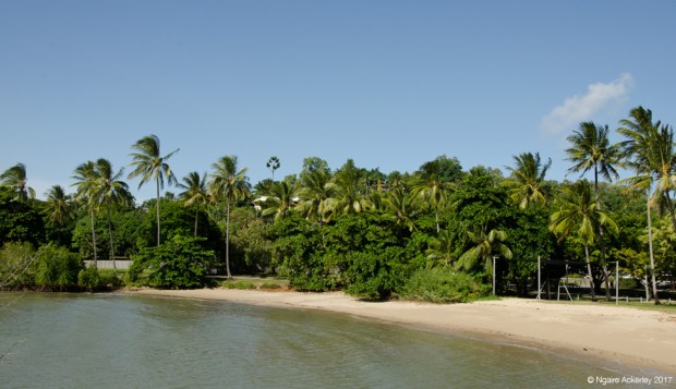 Port Douglas Harbour