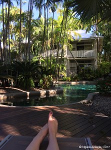 Port Douglas Retreat pool