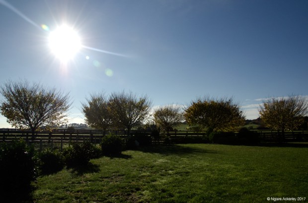View from our cottage, Tukituki, Hawkes Bay