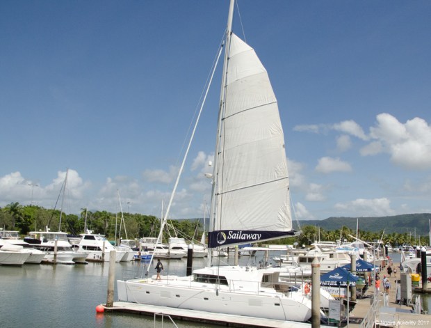 Sailaway Boat - the boat I took out to the Low Isles