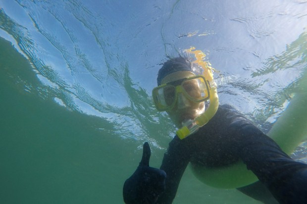 Snorkelling in the Low Isles