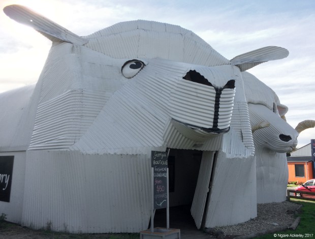 Tirau - sheep sculpture