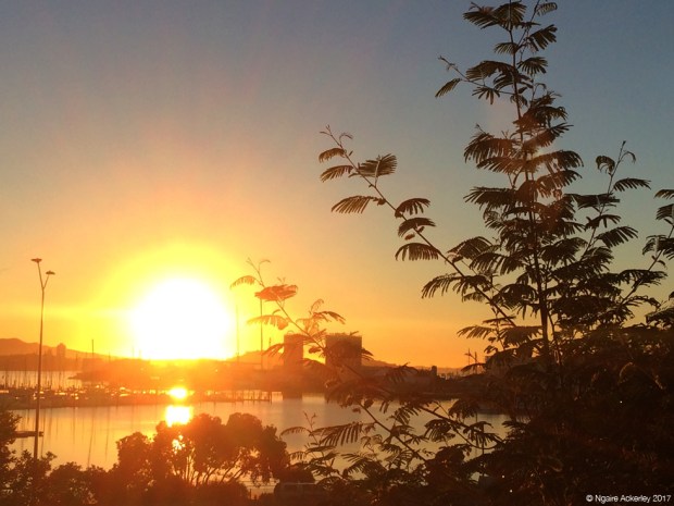 Another stunning sunrise