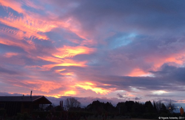 The Carrot at sunset