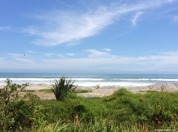 Stop for lunch on way to Karamea