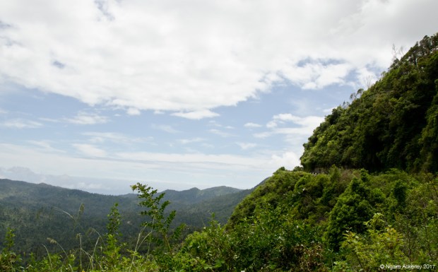 Road to Karamea - yes up on that cliff edge