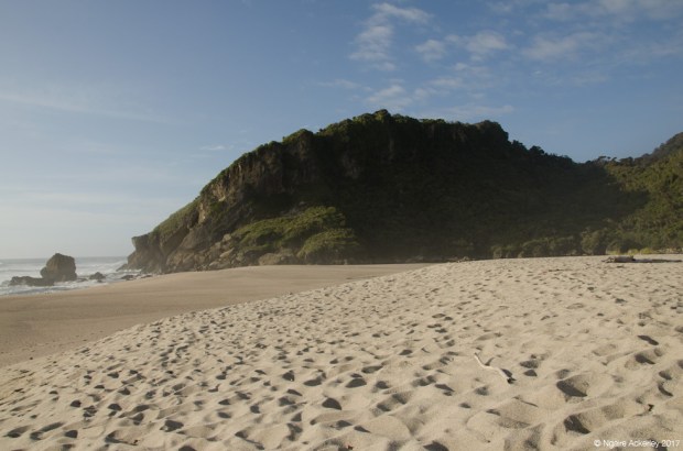 Kahurangi beach