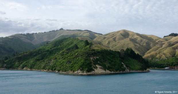 Marlborough Sounds - on the interislander ferry