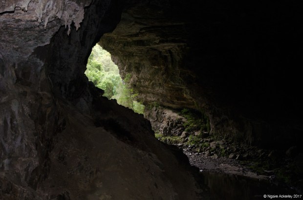 Inside the Oparara Arches