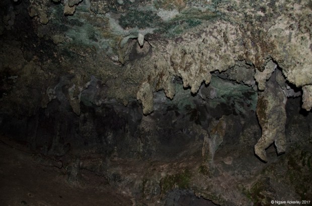 Oparara Arches limestone