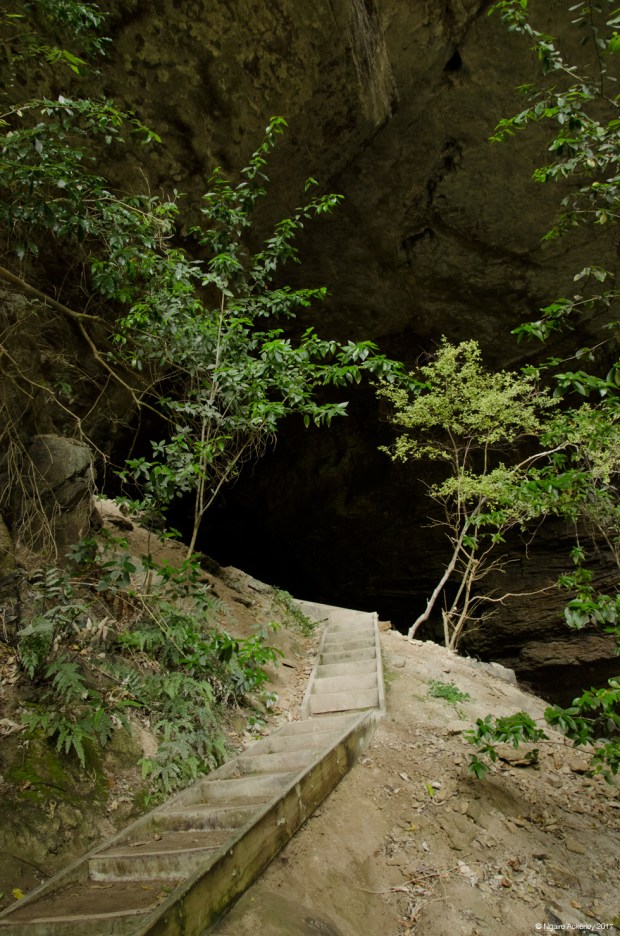 Leading up to the Oparara Arches