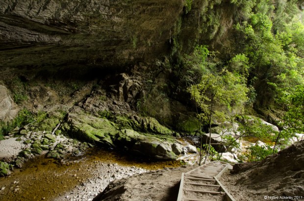 Looking out from the Oparara Arches