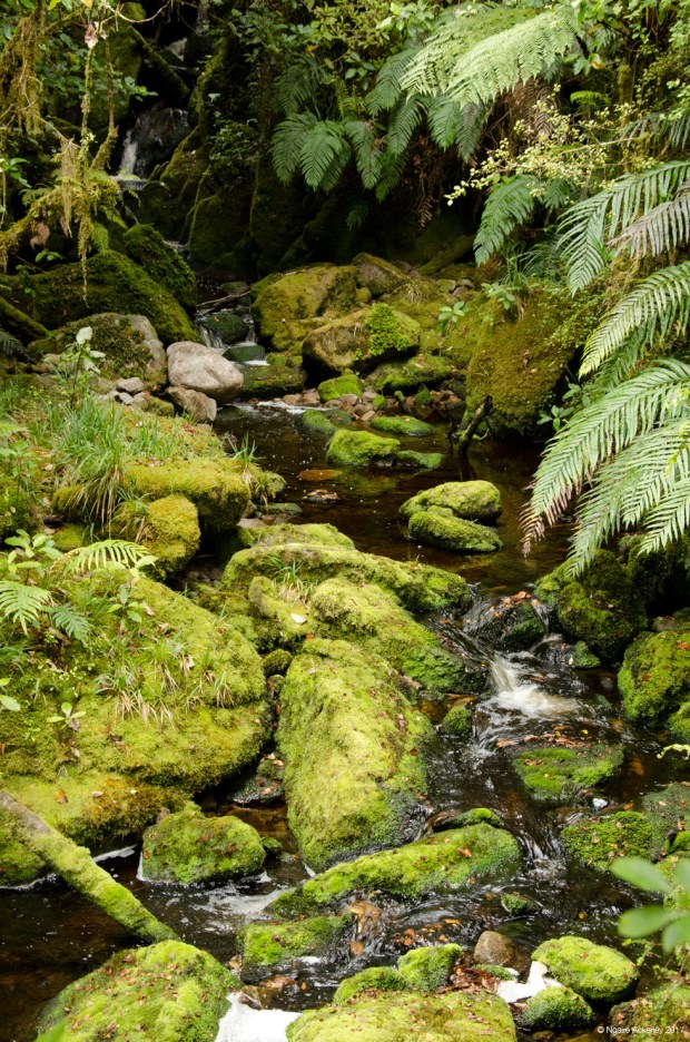 Oparara River