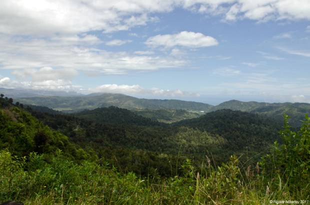 View over the valleys leading to Karamea