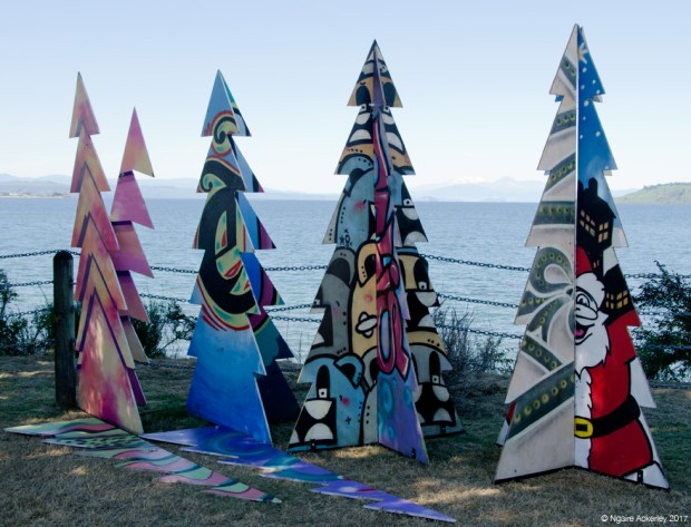 Christmas Trees in Taupo