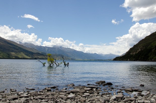 Boundary Creek, New Zealand