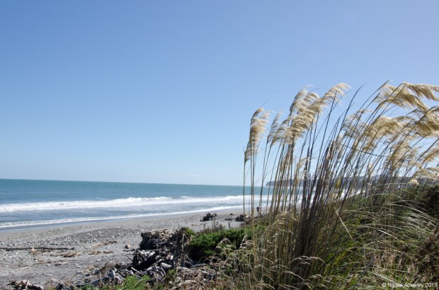 Bruce Bay, West Coast, New Zealand