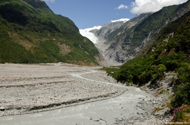 Franz Josef Glacier Valley Walk