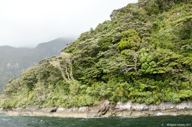 Doubtful Sound