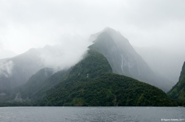 Doubtful Sound, Fiordland, New Zealand