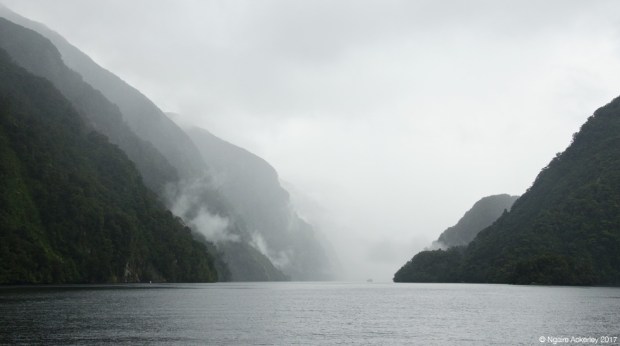 Doubtful Sound Fiord, New Zealand