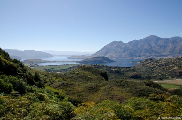 View from Rocky Mountain