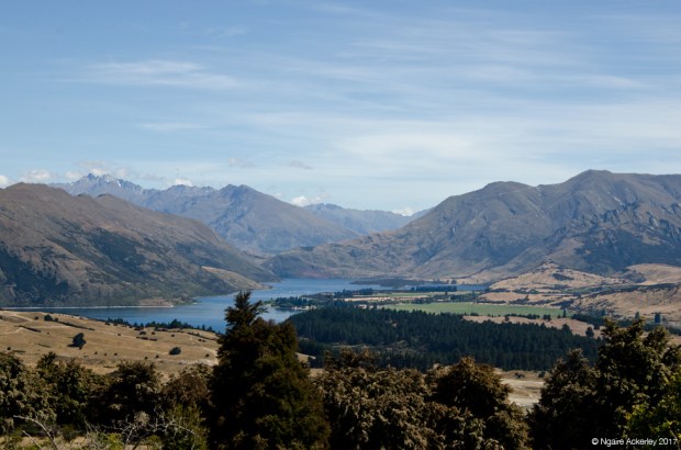 View of Lake Hawea walking up Mount Iron