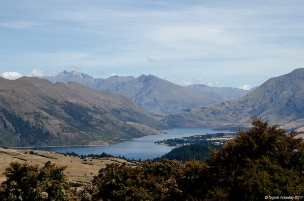 View of Lake Hawea from Mount Iron, Wanaka
