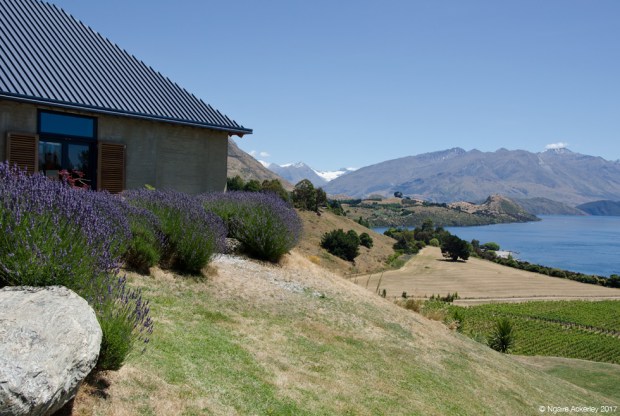 Rippon Winery