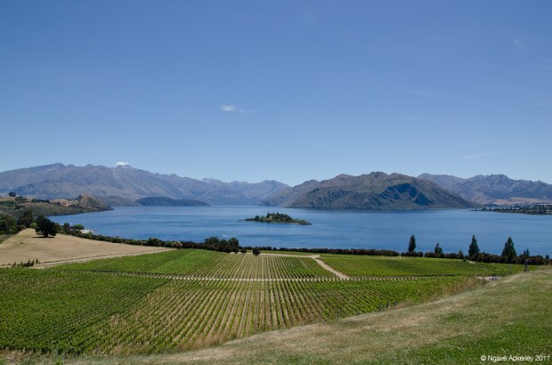 Views from Rippon, over Lake Wanaka