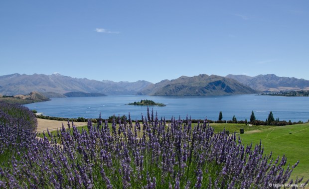 Views from Rippon, over Lake Wanaka