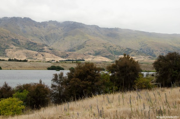 Cromwell, New Zealand