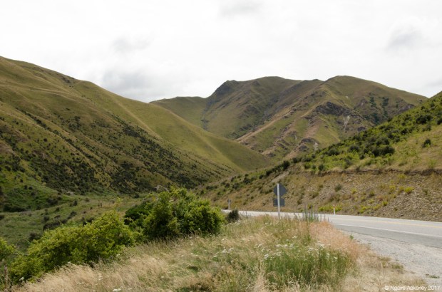 Otago roads, New Zealand
