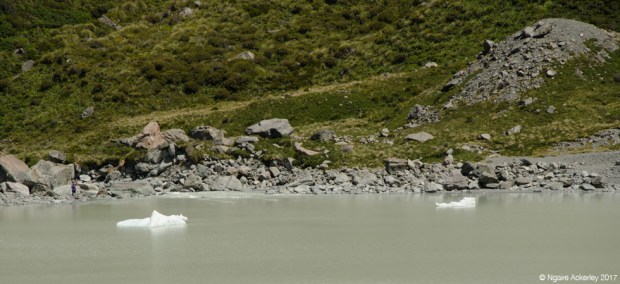icebergs in Hooker Lake