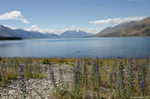 Lake Ohau