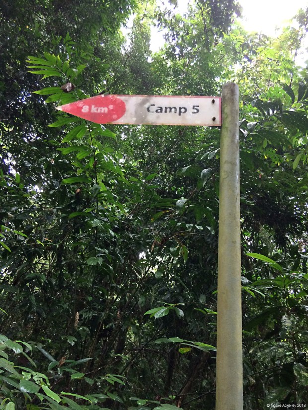Onwards to Camp 5