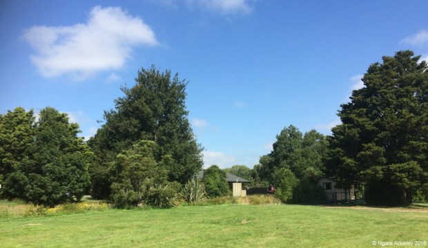 Peel Forest campsite