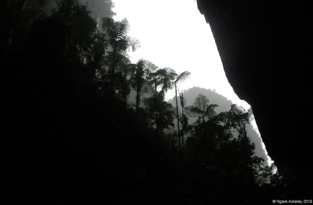 Caves in Mulu National Park