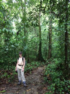 Hiking the headhunters trail