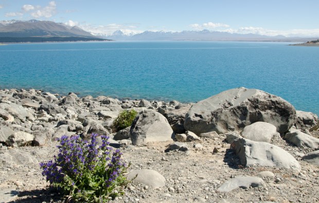 Lake Pukaki