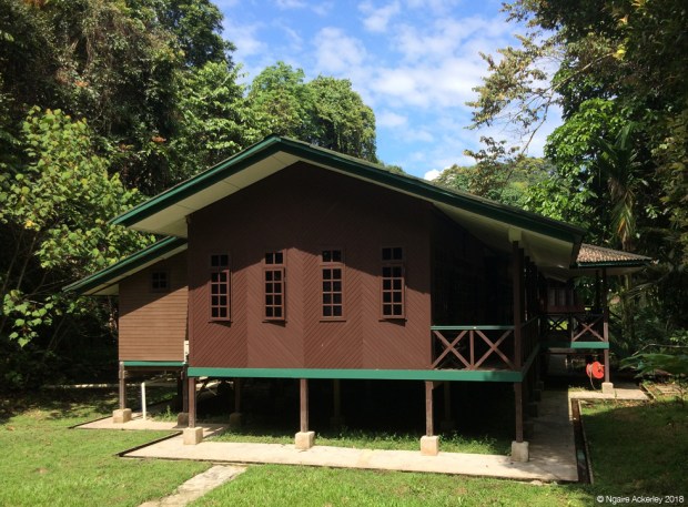 Longhouse accomodation at Mulu National Park