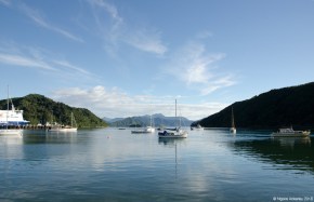 Picton harbour