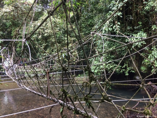 Rope bridge, Mulu National Park